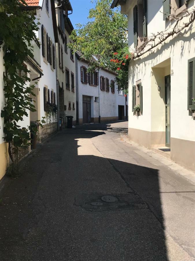 Ferienwohnung Eulenhof Neustadt an der Weinstraße Exterior foto